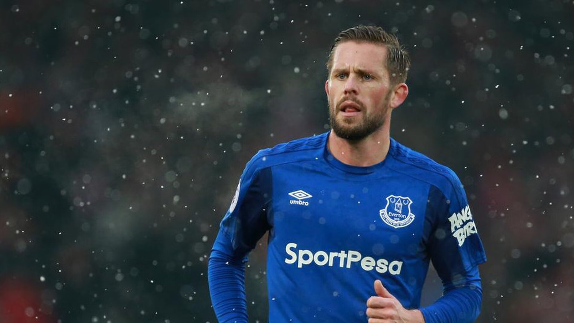 英超球迷狂热支持,爆满现场打Call,英超球迷网在线直播