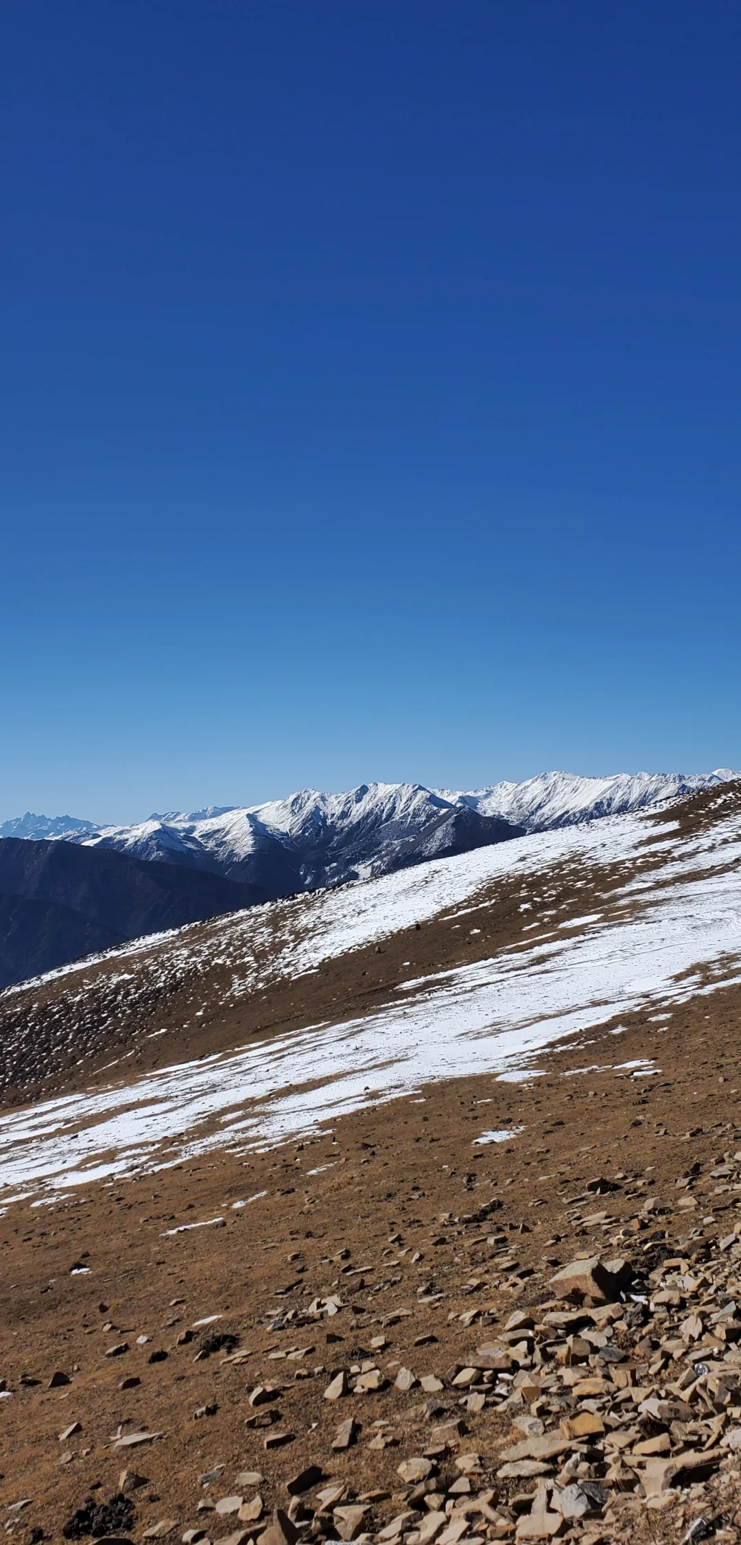 高原雪山徒步，深入冰雪世界的极限探险的简单介绍