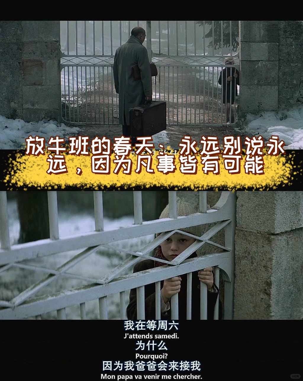 乐鱼体育平台官网-关于赛场外的故事：家庭、友谊与梦想的结合的信息